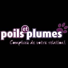 allprotections_alarme_poils_et_plumes