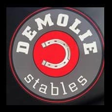 allprotections_clients_manège_demolie
